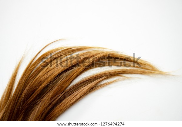 Long Brown Straight Hair On White Stock Photo Edit Now 1276494274