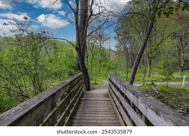 a long brown wooden bridge surrounded by tall thin bare winter trees and lush green trees and plants with blue sky and clouds at Murphey Candler Park in Atlanta Georgia USA - Powered by Shutterstock