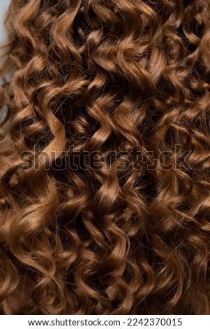 Long curls on the head of the Light brown woman back view.