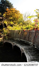 A Long Curved Nineteenth Century Wooden Bench In A Botanical Garden In The UK.