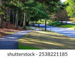 a long curving sidewalk surrounded by green grass and lush green and autumn colored trees along the sidewalk at Lenox Park in Brookhaven Georgia USA	