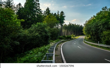 Long Curvy Forest Road In Alpine Mountains 