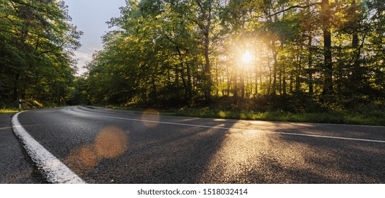 Long Curvy Forest Road In Alpine Mountains At Sunset