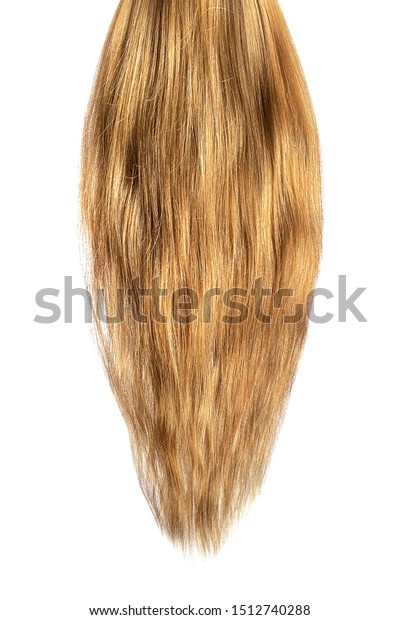 Long Damaged Straight Brown Hair Isolated Beauty Fashion Stock Image