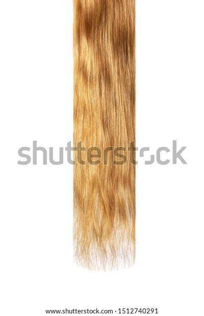 Long Damaged Straight Brown Hair Isolated Stock Photo Edit Now