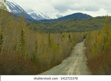 Long Dirt Road In The Kenai National Wildlife Refuge, Alaska USA