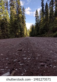 A Long Dirt Road With Tall Trees Encompassing All Around. A Blue Sky With Some Clouds Shows Above The Trees. 