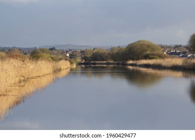 Long Distance Of The Ship Canal In Devon With Winter Bull Rushes Reflected In The Still Water