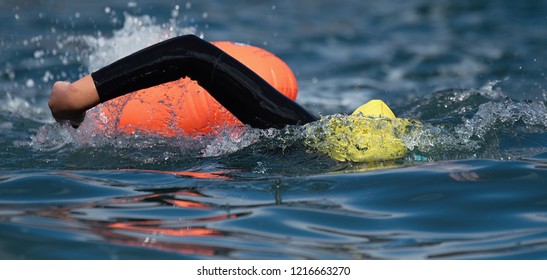 Long Distance Swimming Marathon Swimmer In Action