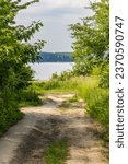 Long double path between high grass bushes and trees to big lake at cloudy morning