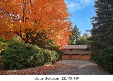 Long Driveway Of House Leading To Three Car Garage, Surrounded By Trees