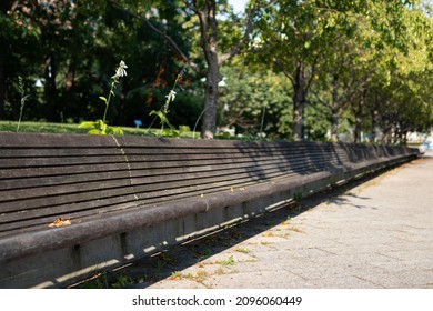 Long Empty Bench At Hudson River Park During The Summer In New York City