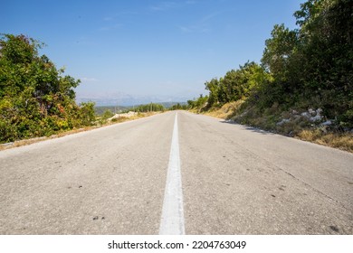 A long empty road surrounded with trees under sunlight