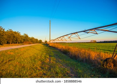 A Long Empty Rural Road In The Country In Georgia By A Pecan Farm Orchard And An Irrigation System