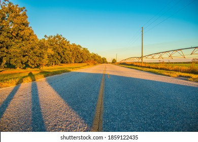 A Long Empty Rural Road In The Country In Georgia By A Pecan Farm Orchard