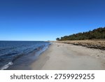 Long empty sandy beach with calm blue sea on one side and low coastal pines on the other under a cloudless sky.