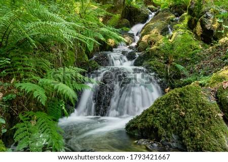 Similar – Image, Stock Photo River trough forest