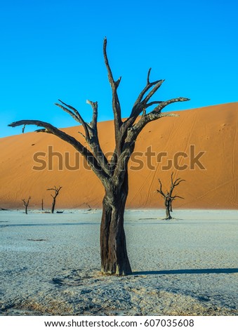 Similar – Dead Vlei Namibia