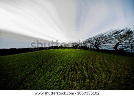 Similar – Foto Bild schräger Baum Winter