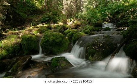 Long exposure captures the serene beauty of a small waterfall in the Alaskan wilderness. Silky smooth water cascades over rocks, surrounded by towering trees and lush greenery. 