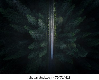 Long Exposure Of Car Driving Through The Forest At Night.