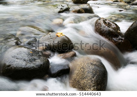 long exposure of creek water, with autumn leaf on rock