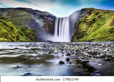 Cute Sheep Iceland Staring Into Camera Stock Photo 137717036 | Shutterstock