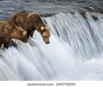 Long exposure image of two brown bears salmon fishing at Brooks Falls. Katmai National Park. Alaska.