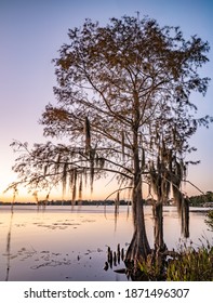 Long Exposure Lake Side Photograph Buy A Still Lake In Winter Park, FL.