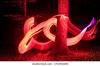 Long exposure light drawing in the night forest 