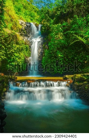 Long exposure photo of Tirto Weni Waterfalls located in Ungaran, Central Java, Indonesia. Landscape Photography.