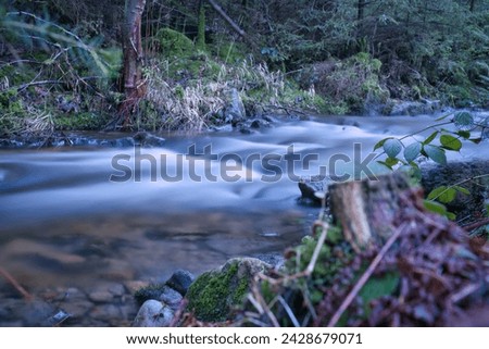 Long exposure shot of a river, forest floor in the foreground. Forest in the background. Picturesque nature