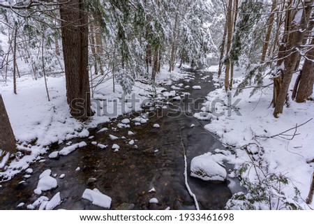 Long exposure of a stream during a snowfall deep in the woods of northern New England.