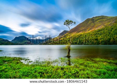 Long exposure view of Lone tree at Buttermere in the English Lake District