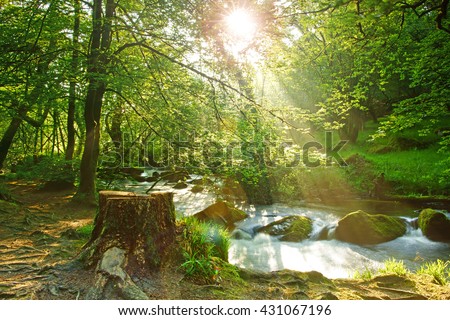 Long exposure view of The River Fowey flowing though Draynes Wood in Spring, with deliberate lens flare, at Golitha Falls National Nature Reserve, Cornwall, England, UK