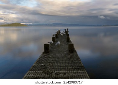 The long exposure view of seagulls perching on the dock over the sea - Powered by Shutterstock