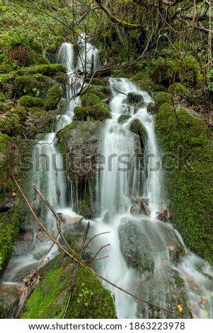 Similar – Image, Stock Photo Bear Guard Gorge Nature