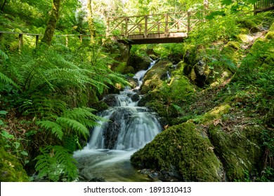 Ruisseau Images Stock Photos Vectors Shutterstock