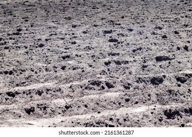 Long flat top rows, furrows, mounds for newly planted potatoes in a rural vegetable garden. A field with several rows of planted potatoes in early spring after sowing. Freshly plowed field