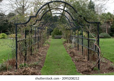 A long garden rode arch looks bleak in winter - Shutterstock ID 2095208212
