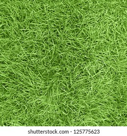 Long Green Grass Texture