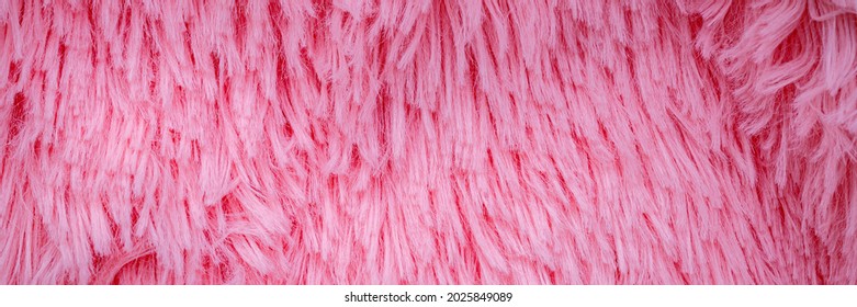 Long Hair Pink Furry Texture. Banner. Pink Fluffy Fur, Fashion Background. Fashionable Rose Color Fur Texture. Decorative Pink Dyed Sheepskin. Long Hair Rug.