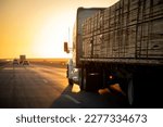 Long Haul 18 Wheel Truck driving on a highway with a load of lumber at sunrise or sunset 