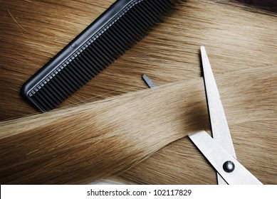 Long Healthy Blond Hair And Professional Scissors