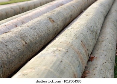 Long Heavy Utility Poles Piled Diagonally On The Ground. Telephone Pole Close Up Textures Background