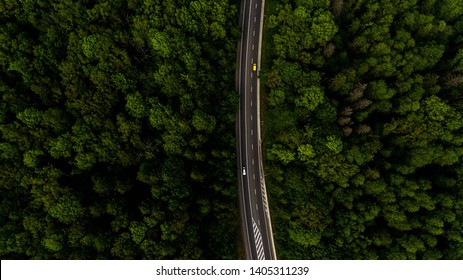 Long Highway Through The Green Forest. Photo From Above Makes By Dron