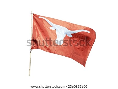 long horns of buffalo drawing on red flag on bamboo pole isolated on white background. This has clipping path. 