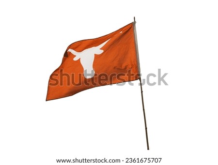long horns of buffalo drawing on red flag on bamboo pole isolated on white background. This has clipping path. 