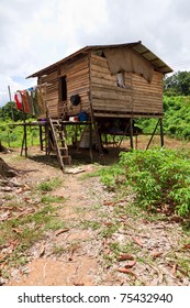 Long House Of The Iban Tribe On Borneo