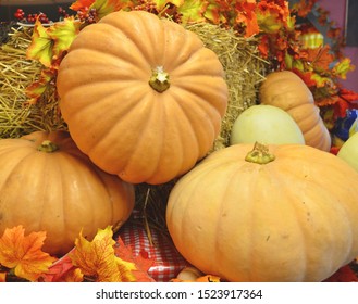 Long Island Cheese Pumpkin; An Heirloom Variety Of Pumpkin Used To Make Most Pumpkin Pies.